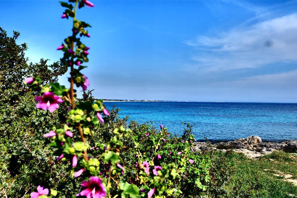Oasi San Pio Appartement Porto Cesareo Buitenkant foto