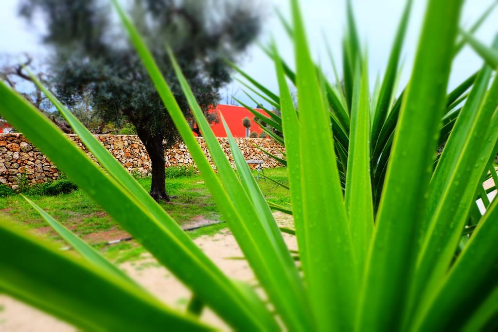 Oasi San Pio Appartement Porto Cesareo Buitenkant foto