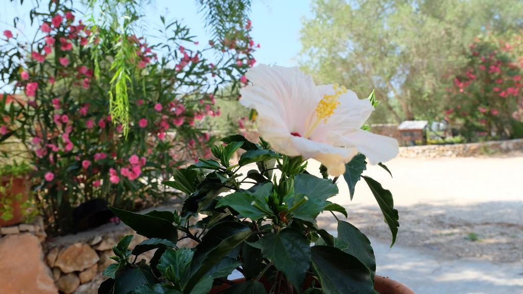Oasi San Pio Appartement Porto Cesareo Buitenkant foto
