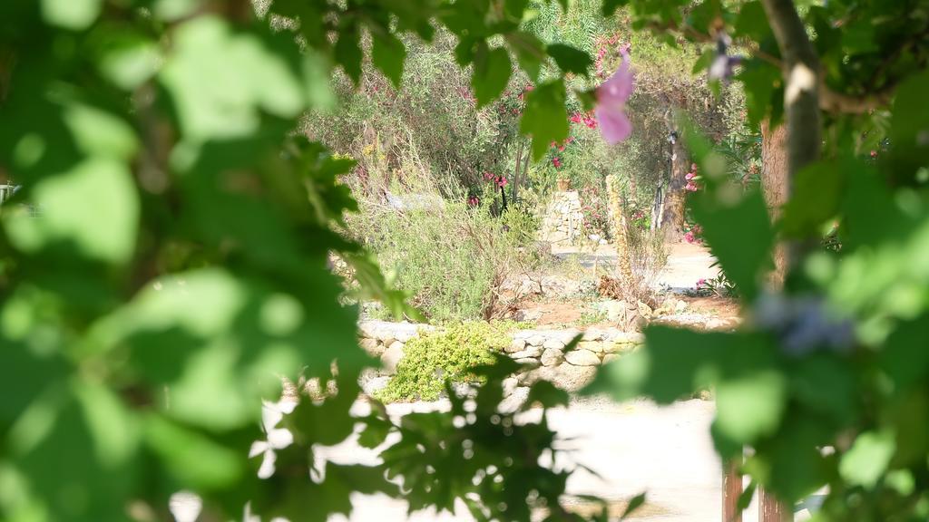 Oasi San Pio Appartement Porto Cesareo Buitenkant foto
