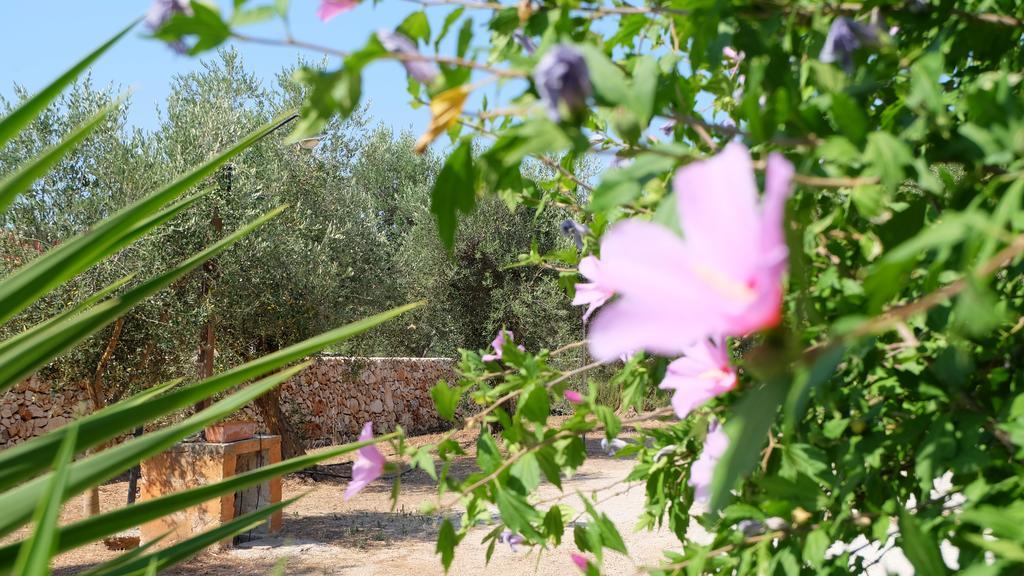 Oasi San Pio Appartement Porto Cesareo Buitenkant foto